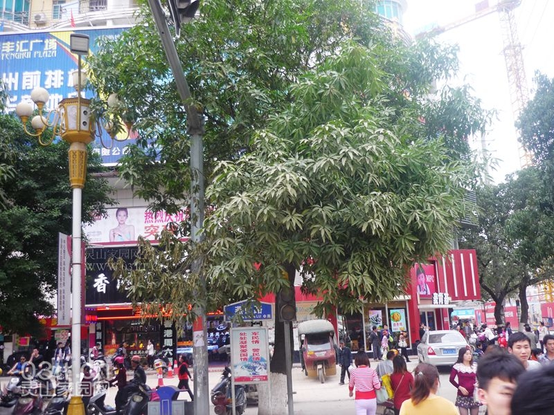 P1240645_副本.jpg