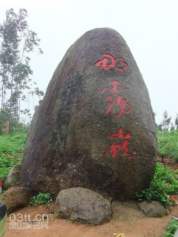 DSCF8828.jpg