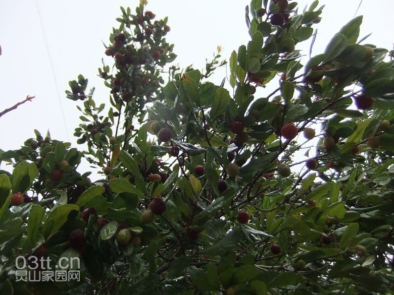 DSCF8832.jpg