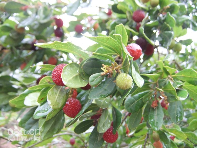 DSCF8833.jpg