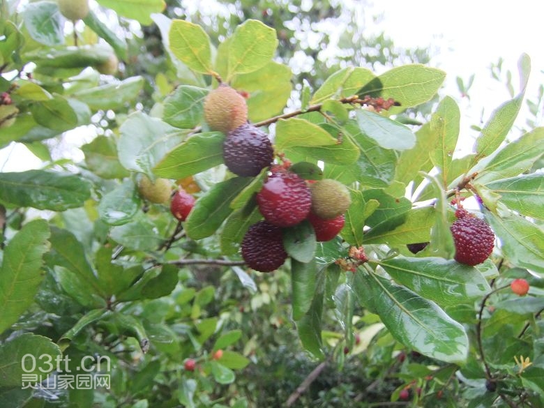 DSCF8834.jpg