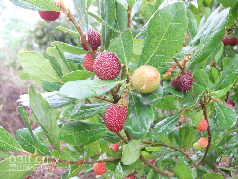 DSCF8839.jpg