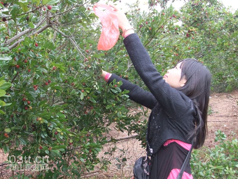 DSCF8845.jpg