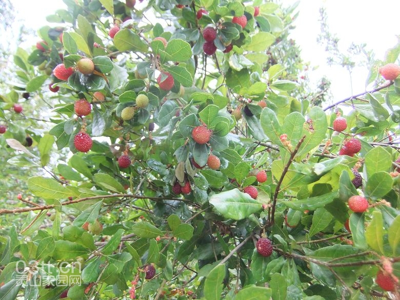 DSCF8856.jpg