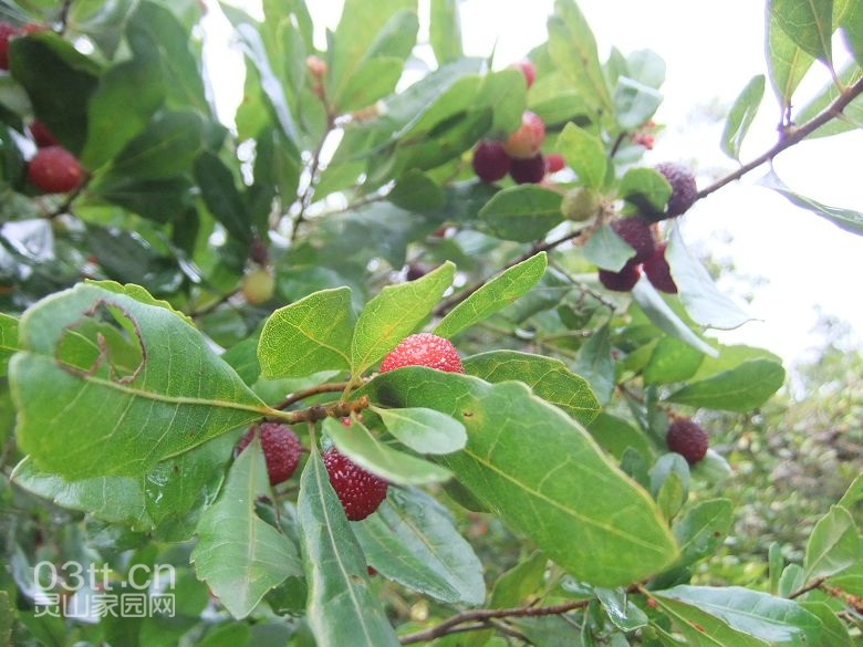 DSCF8857.jpg