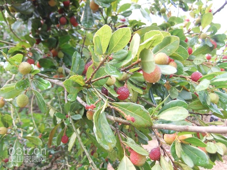 DSCF8859.jpg