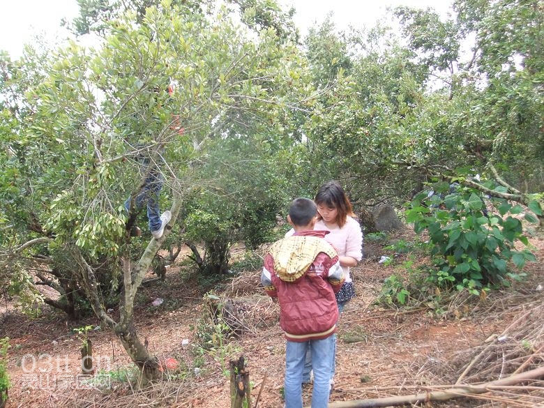 DSCF8860.jpg