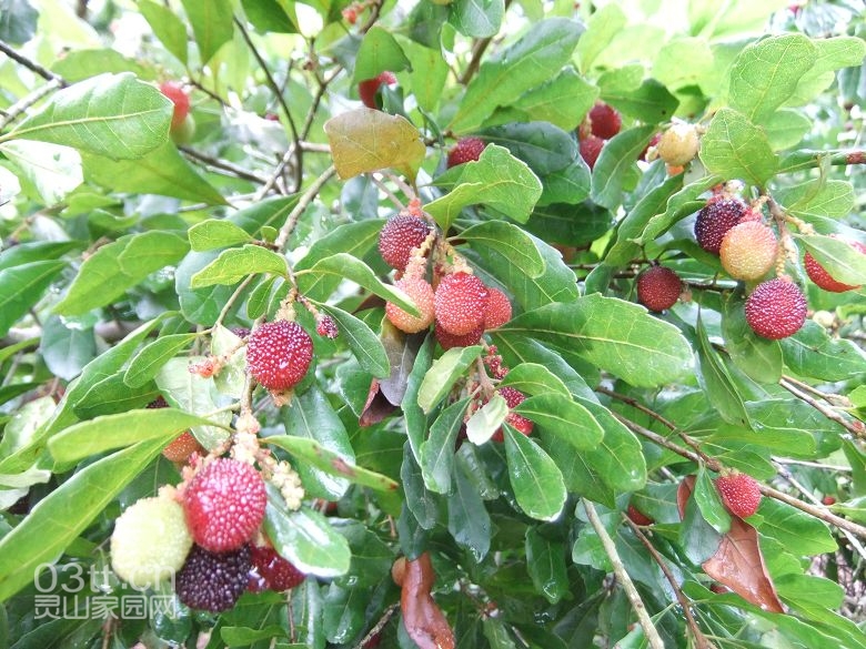 DSCF8865.jpg