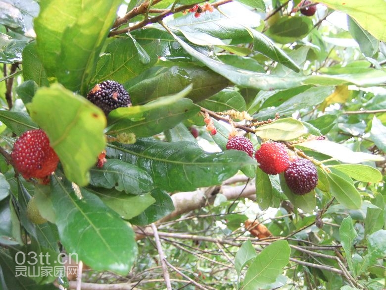 DSCF8869.jpg