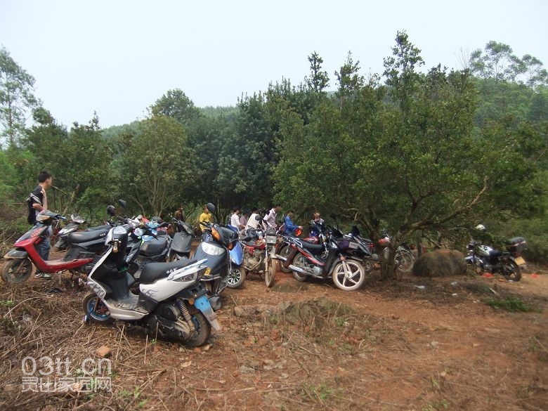 DSCF8871.jpg