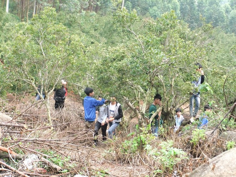 DSCF8873.jpg