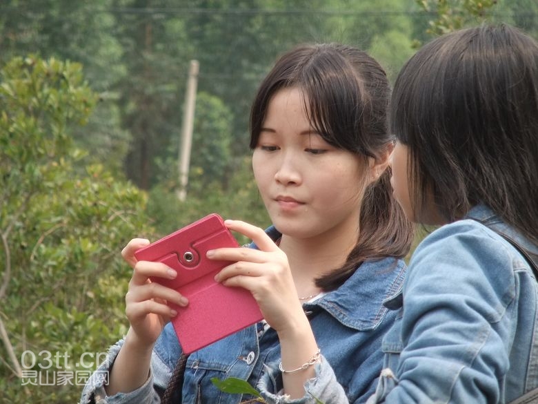 DSCF8879.jpg