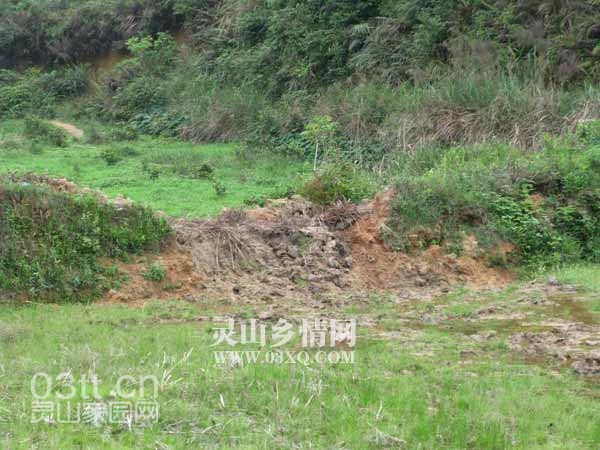 高大的田塍，也遭如此下场
