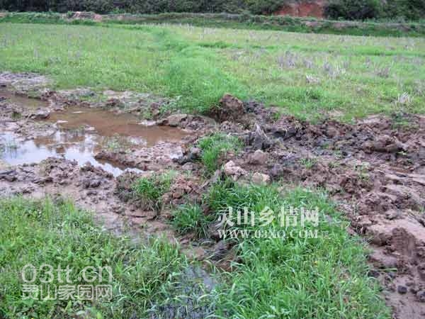 瘦小的我哪敢与高大的老兄相提并论