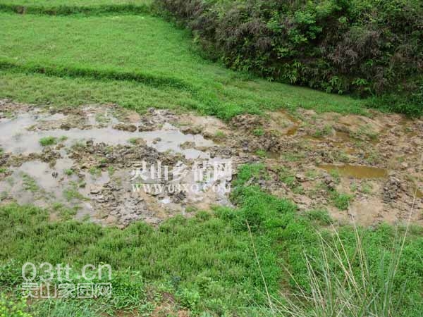 田塍你原来在哪里