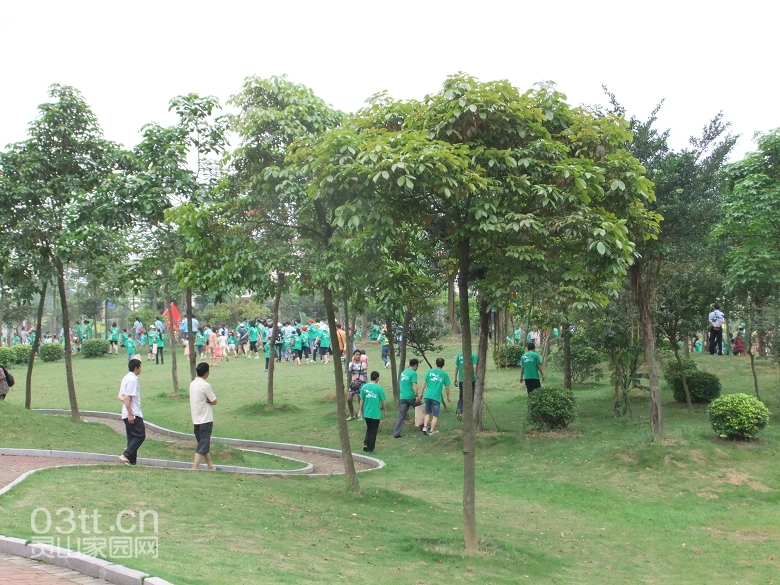 DSCF9137.jpg