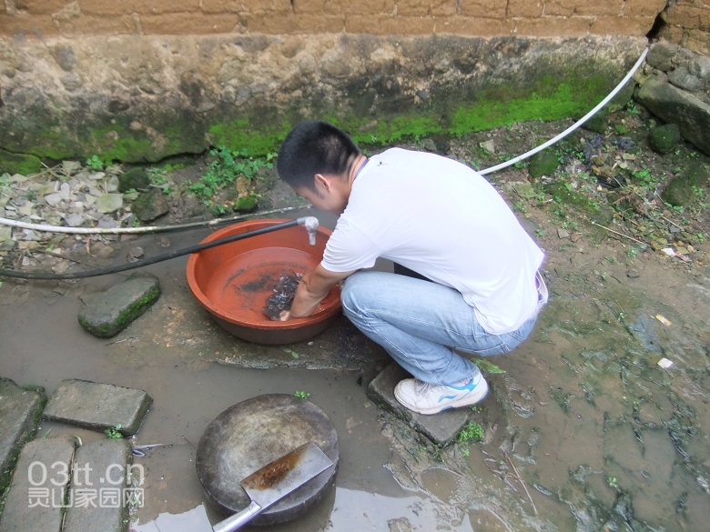 DSCF9319.jpg