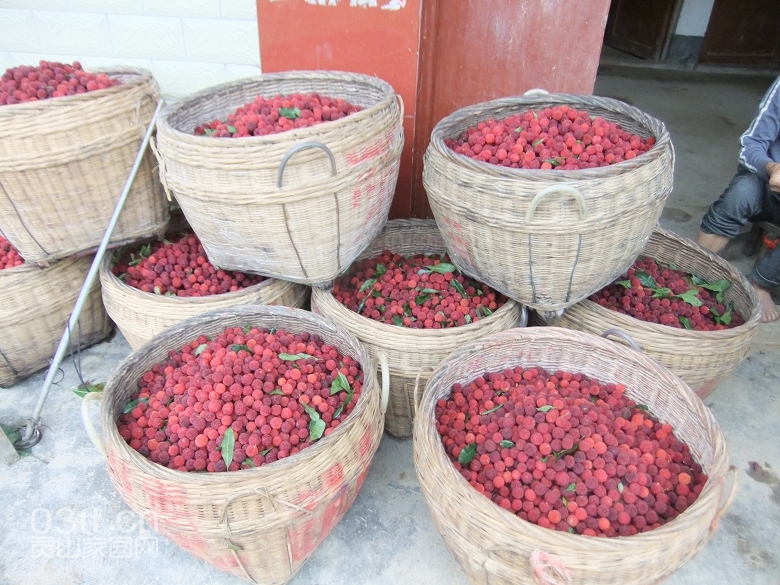 DSCF9362.jpg