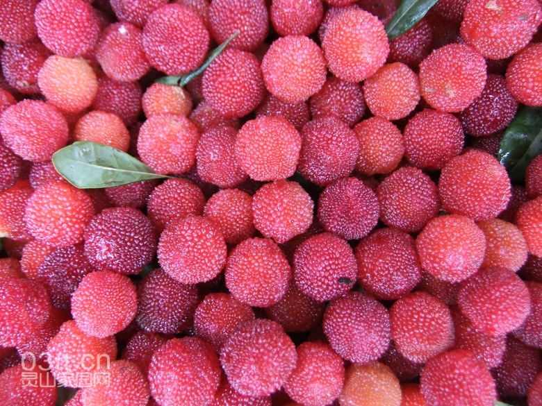 DSCF9355.jpg