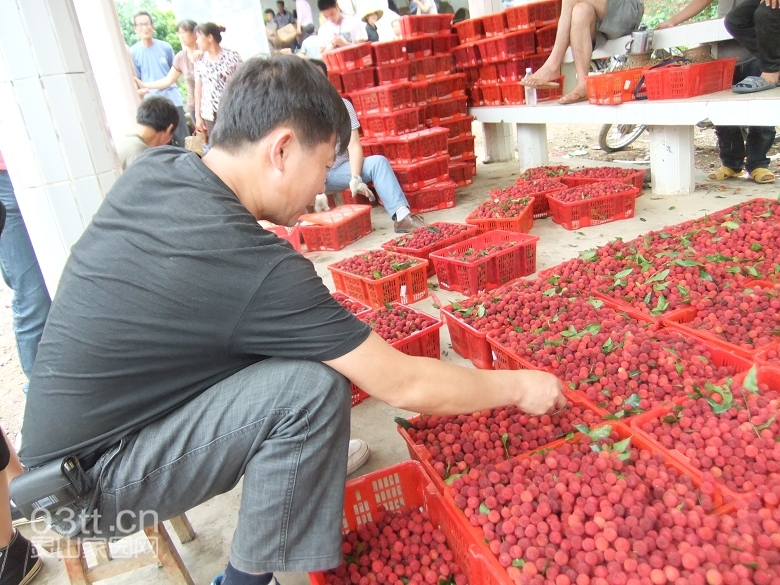 DSCF9356.jpg
