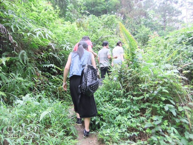 DSCF9388.jpg