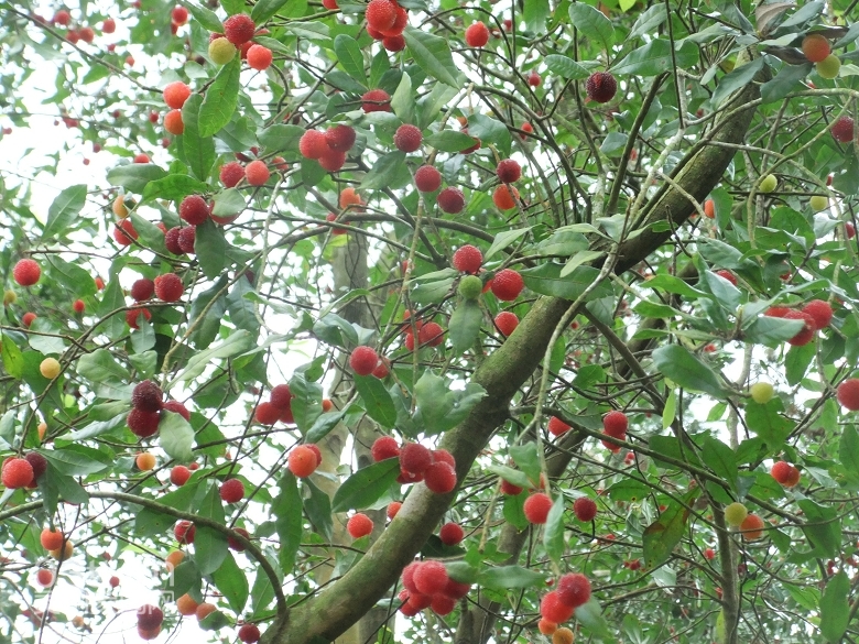 DSCF9395.jpg