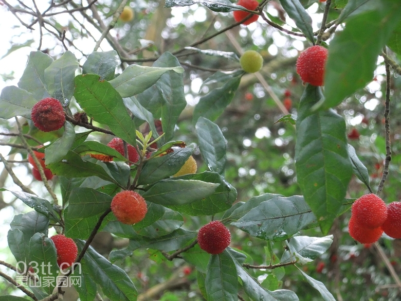 DSCF9397.jpg