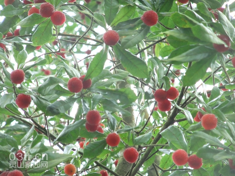 DSCF9398.jpg