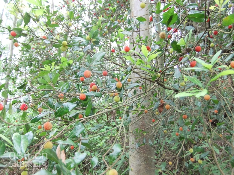 DSCF9399.jpg
