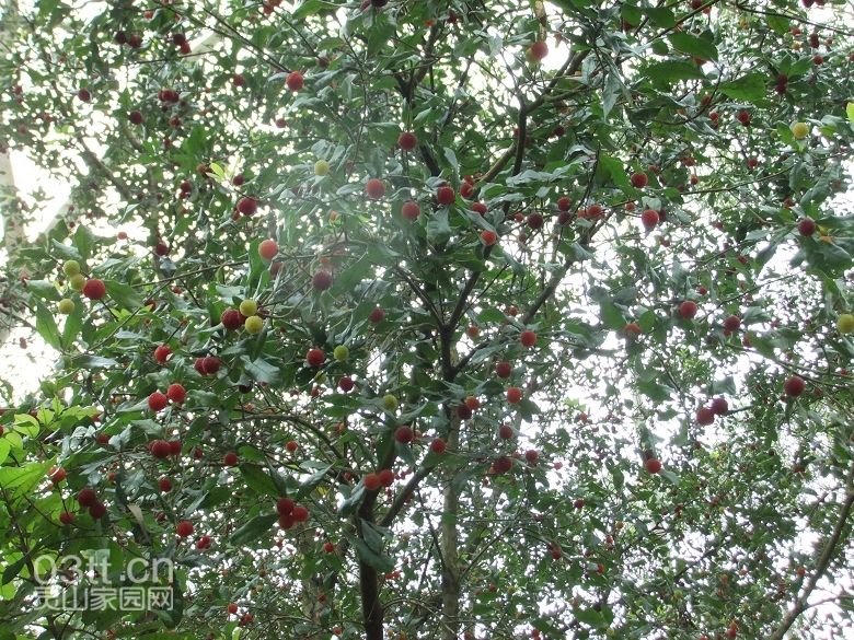 DSCF9400.jpg