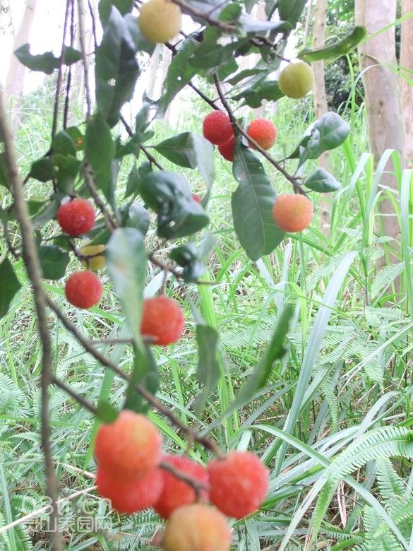 DSCF9402.jpg