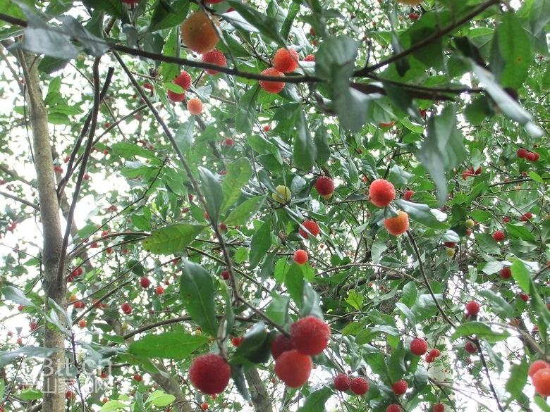 DSCF9403.jpg