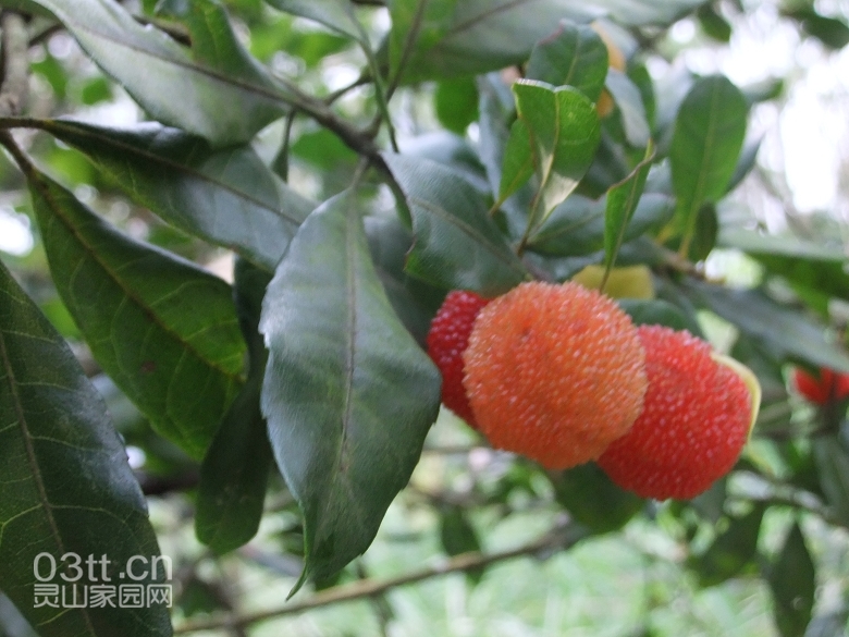 DSCF9405.jpg