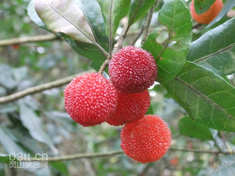 DSCF9412.jpg