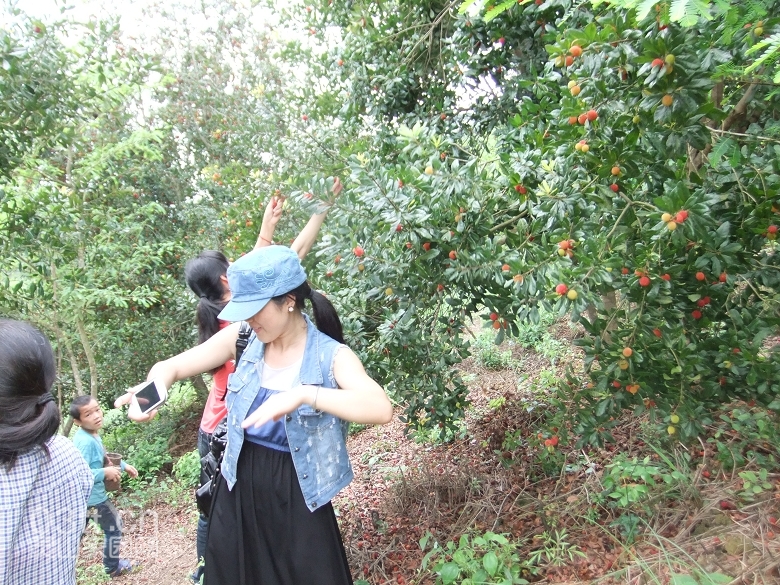 DSCF9419.jpg