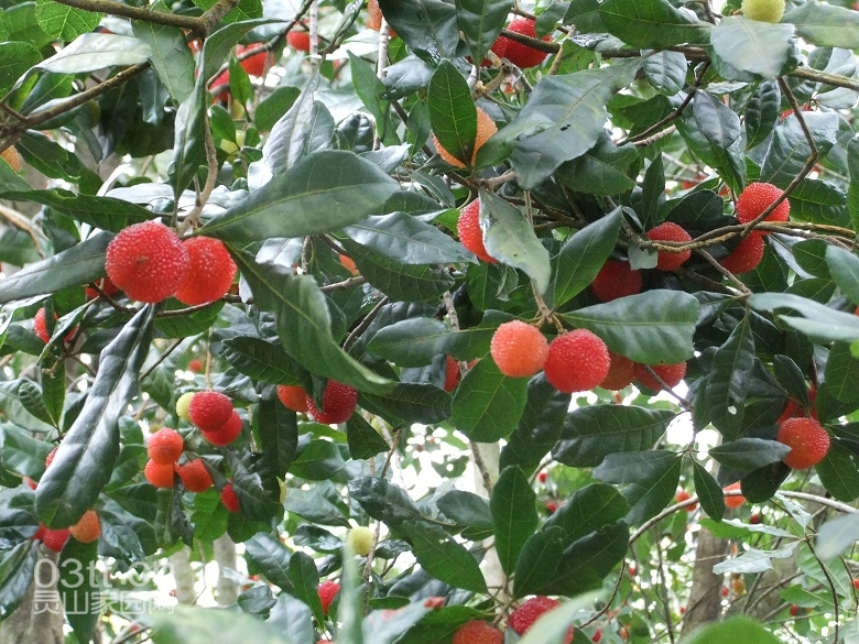 DSCF9422.jpg