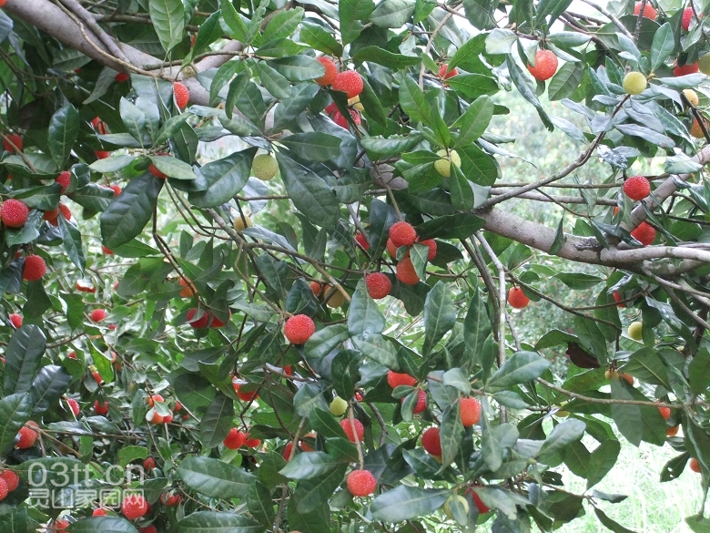 DSCF9423.jpg