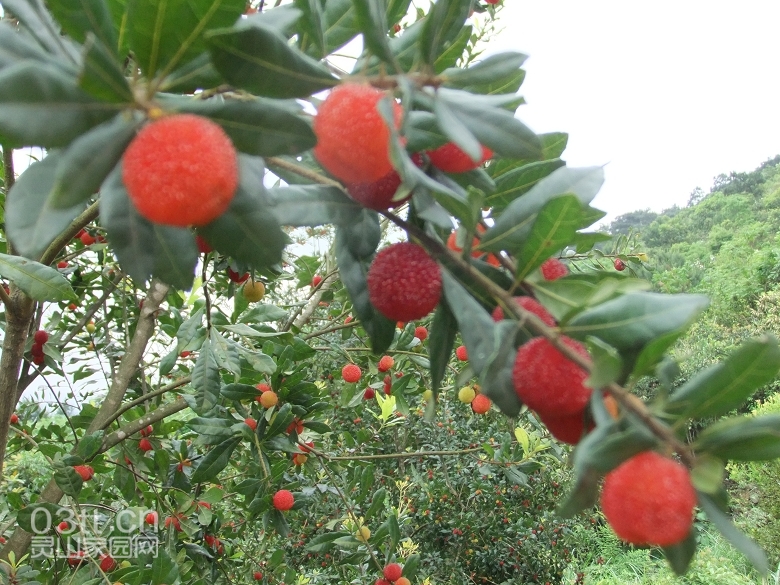 DSCF9425.jpg