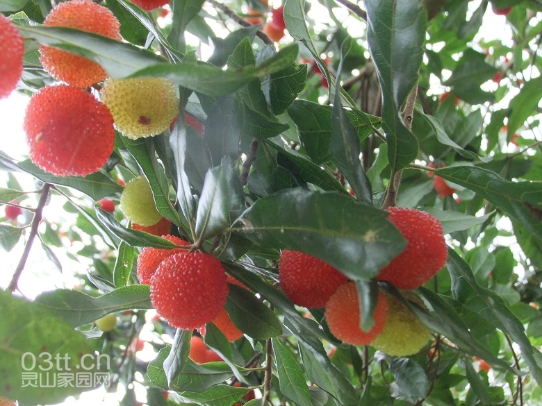 DSCF9428.jpg