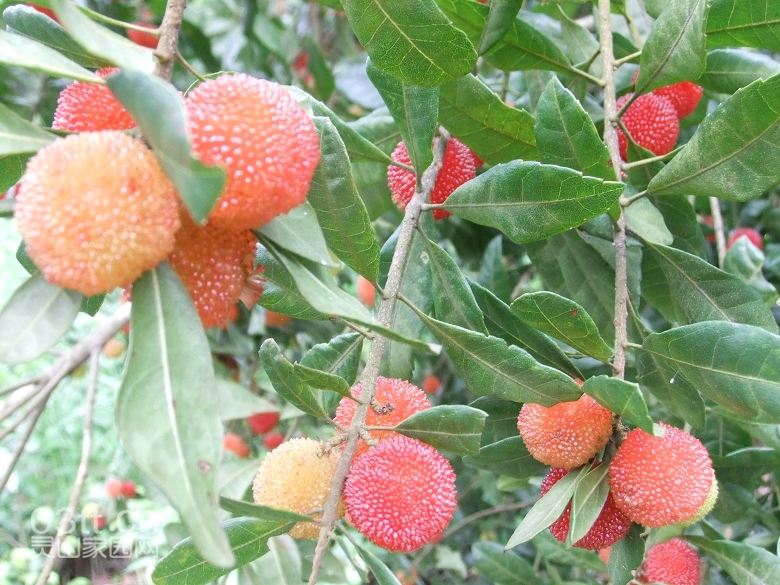 DSCF9429.jpg