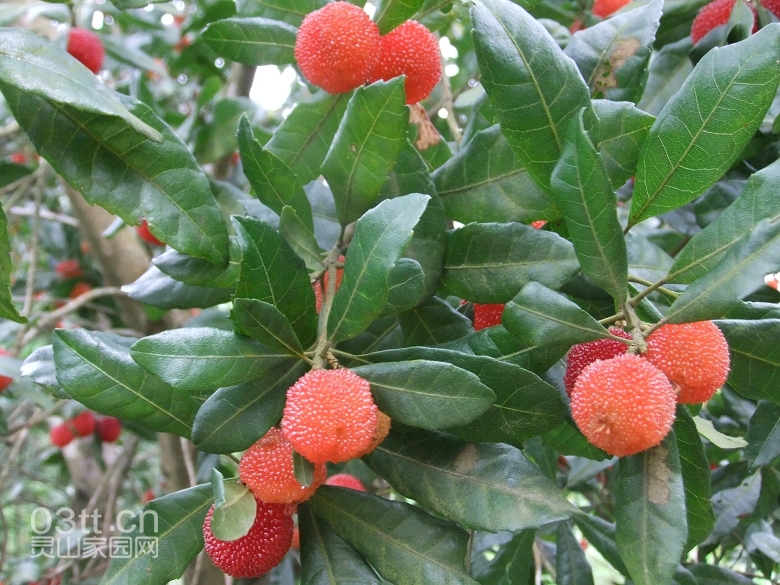 DSCF9430.jpg