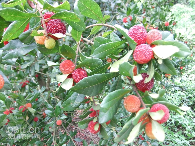 DSCF9434.jpg