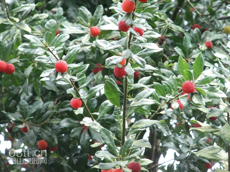 DSCF9435.jpg
