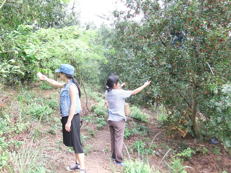 DSCF9436.jpg