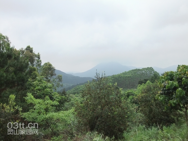 DSCF9437.jpg
