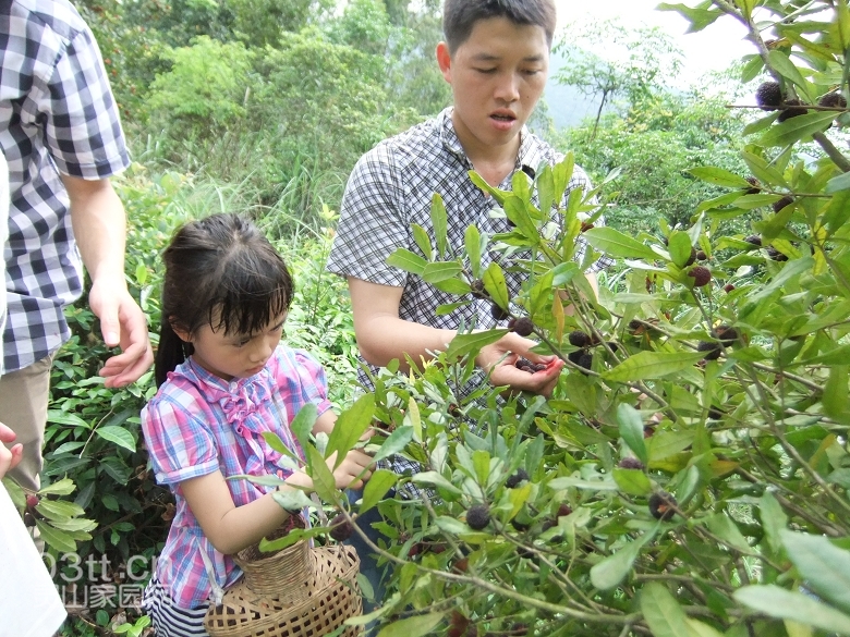 DSCF9446.jpg