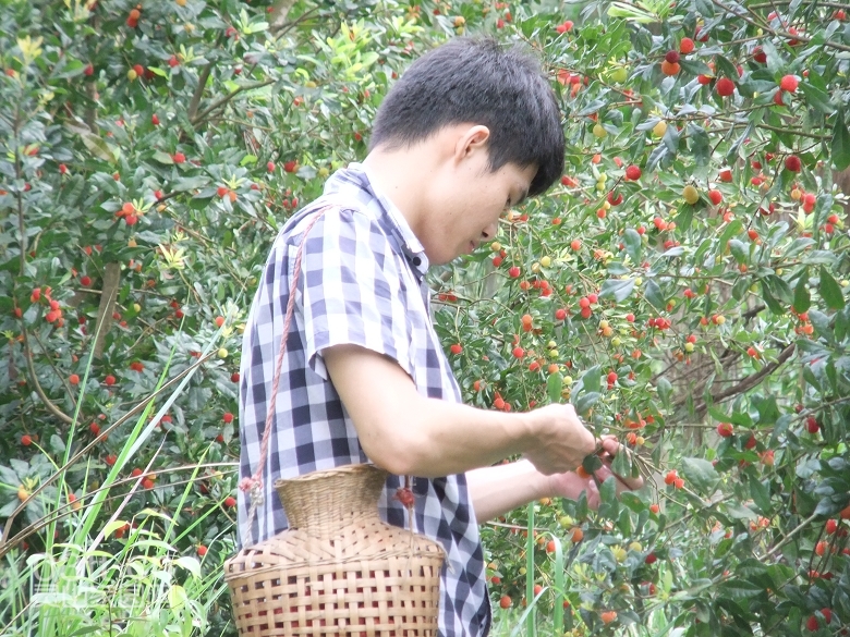 DSCF9451.jpg