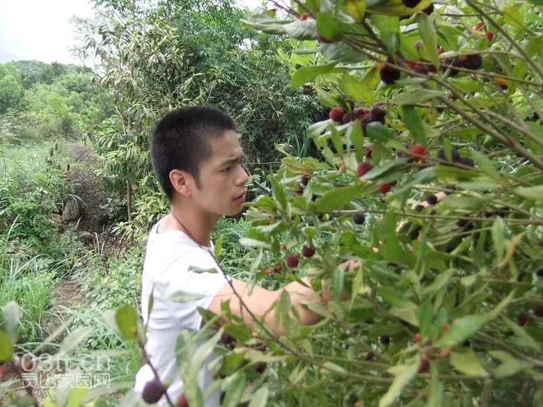 DSCF9454.jpg