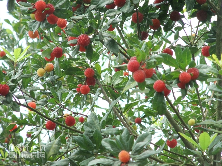 DSCF9456.jpg