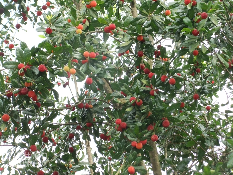 DSCF9457.jpg